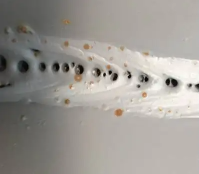 1653382220(1) 1653382220(1)